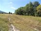 užovka stromová (25.5.2014)
